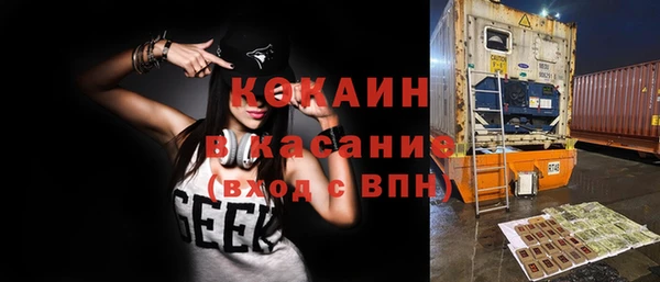 гашик Пестово