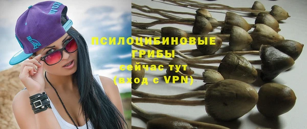 соль курить ск Аркадак